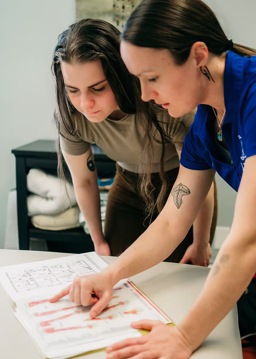 Anatomy consultation